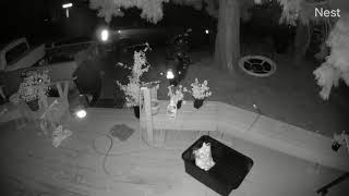 Caught ghost orb on Nest Cam!