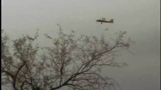 eagle 070.AVI