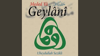 Şahı Geylani — Ubeydullah Sezikli kapak görseli