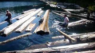 Rescue dog from water. Собака тонет - мужик спас. Rescue dog from water. Собака тонет - мужик спас.