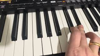 Korg Pa5X Zurna Resimi