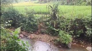 Selling cheap garden land 2600 MTR 95 million, located in a rural area, close to a small river