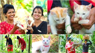 Half A Day With Our Pets😻🤩| Halli Mane