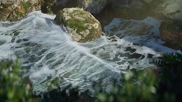 Houdini 19.5 Flip Waves Simulation Redshift [4K]