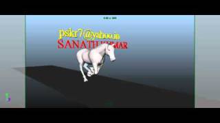 Horse run cycle.avi