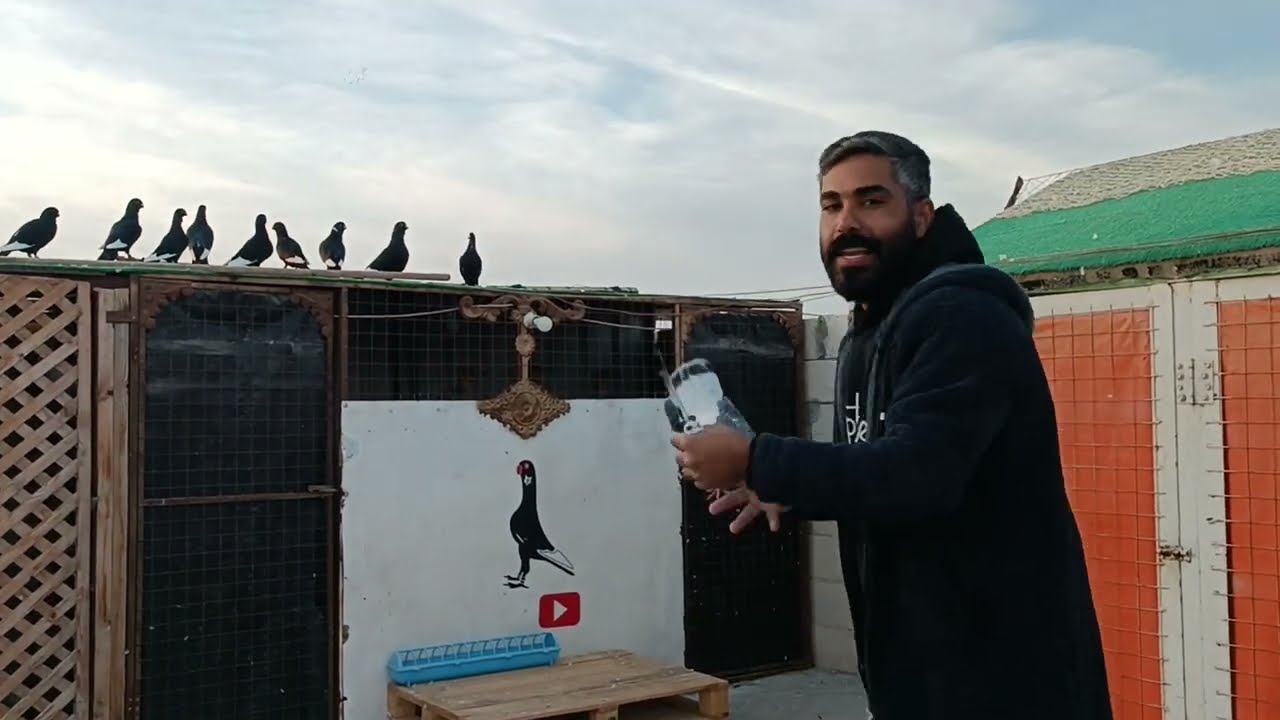 اول صيد عالمساويد وشوف كيف صدتو 🤔