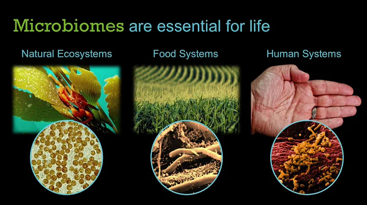 Using Familiar Foods to Unlock Mysteries of the Mi...