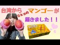 【なちゃんずキッチン】台湾から５キロの愛文マンゴーが届きました！【台湾】