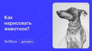 Обучение рисованию с нуля. Интенсив для художников