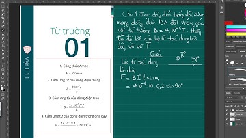 Bài tìm độ lớn của lực từ tác dụng lên dây dẫn thẳng