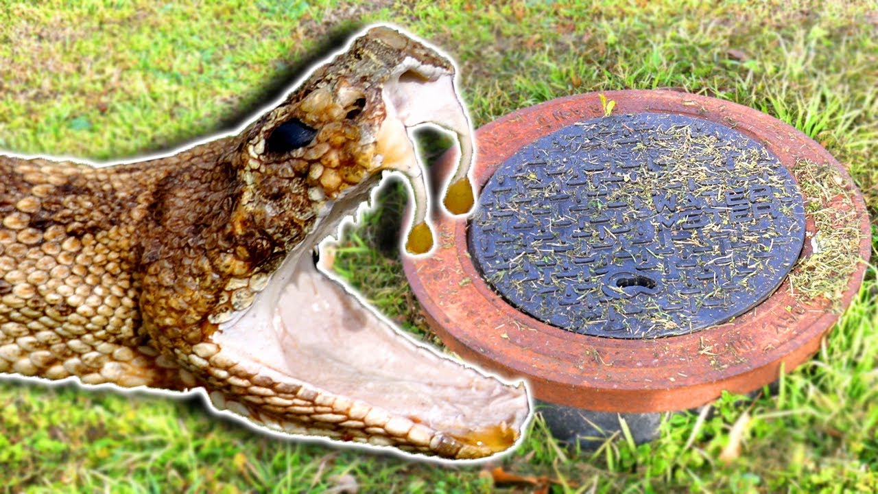 NEW and FUN Way to Locate Water Lines YouTube