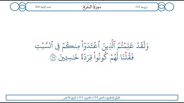 سورة البقرة / الآية 65 / محمود الخليل الحصري