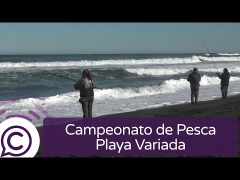 Campeonato de Pesca Playa Variada en La Pancora y la boca de Cáhuil