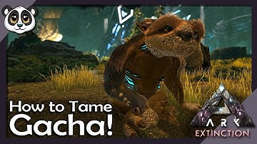 How to Tame Gacha! | ARK: Extinction