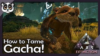 How to Tame Gacha! | ARK: Extinction