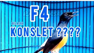 f4 || murai batu prestasi masih belajar konslet