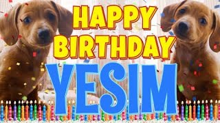 Happy Birthday Yesim! ( Funny Talking Dogs ) What Is Free On My Birthday Resimi