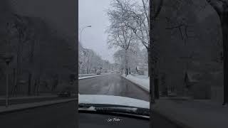 Latvia Winter Capturing The Peace Of Snow And Silence