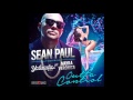 Sean Paul ft. Yolanda Be Cool & Mayra Veronica - Outta Control