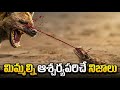 100 Facts In Telugu | Facts Forever Interesting Facts In Telugu | Telugu Facts Interesting Episode 1