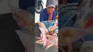 Creative snack in Indonesia   #indonesia #food #indonesiastreetfoods #streetfood #foodie