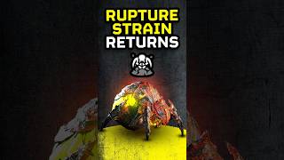 Return of the Rupture Strain???