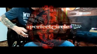 A Perfect Circle - Pet (Instrumental Cover) 2021 Vovchik Lebedev #vovchiklebedev #aperfectcircle