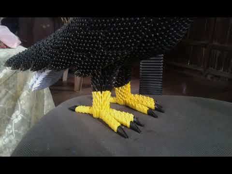 Origami 3D Eagle