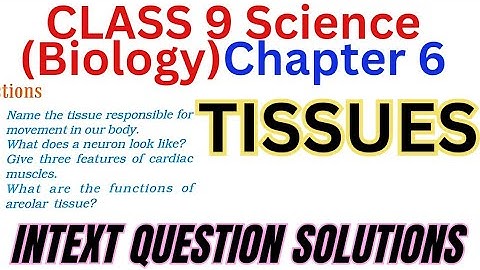 CLASS 9 SCIENCE CHAPTER 6 TISSUES INTEXT QUESTION SOLUTIONS