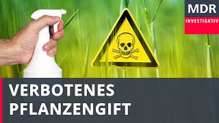 Verbotenes Pflanzengift – Viele kaufen es trotzdem