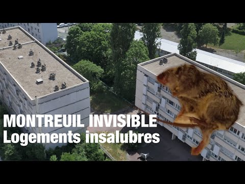 HLM insalubres à Montreuil