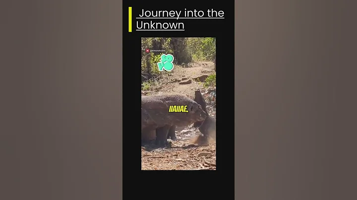 Pig gets hunted by komodo dragon  #youtubeshorts #animal #SlimeFilmsEnt