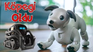 Vectore Robot Köpek Aldık