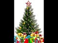Kya Muslim Christmas mana sakta hai? |#ytshorts #islamicshorts #islamicvideo