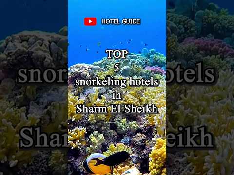 Best hotels for snorkeling in Egypt Sharm El Sheikh #shorts