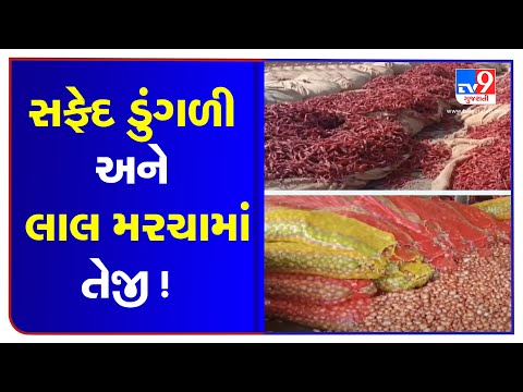 Rajkot: Whooping income from sale of Chillies and White onions in Gondal APMC | tv9gujaratinews
