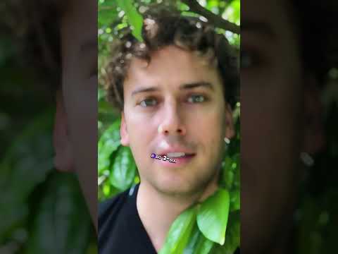 Да ну!? Это про Галкина?😨 #факты #шоубизнес #галкин #shorts
