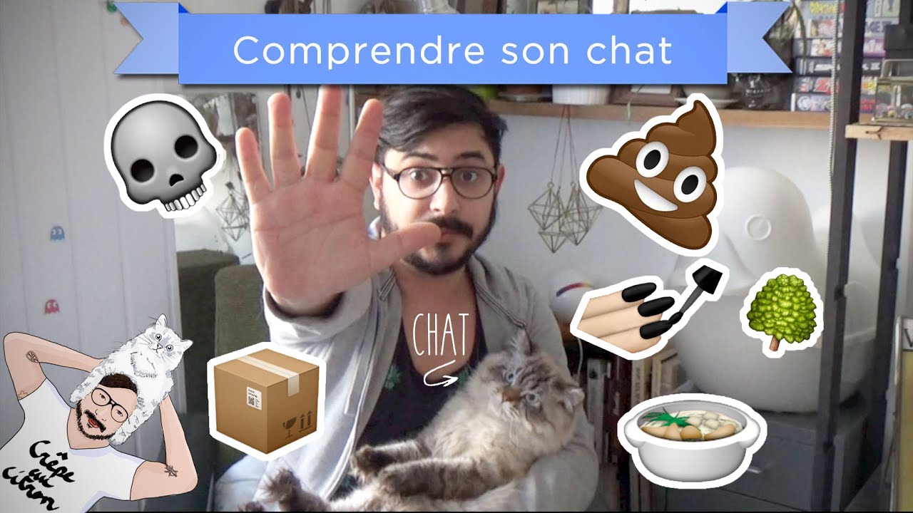 Comprendre Son Chat 6 Comportements Expliques Crepe Au Citron Comprendre Son Chat 6 Comportements Expliques Crepe Au Citron