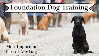 Foundation Dog Training A Dogs A Dog