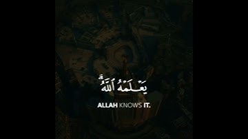 الحج أشهر معلومات | تلاوة خاشعة وجميلة ❤