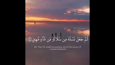 القارئ إسلام صبحي تلاوة هادئة ارح قلبك ♡ حالات واتس اب / ستوريات قرآن || Quran status