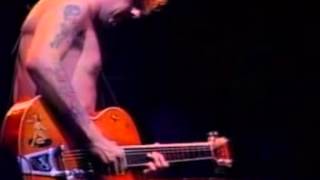 Stray Cats- C'mon everybody chords