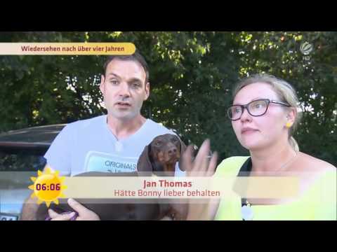 Video: Vermisster Hund Nach 8 Monaten In 175 Meilen Entfernung Gefunden