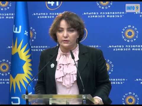 თინა ხიდაშელს ბრიფინგი