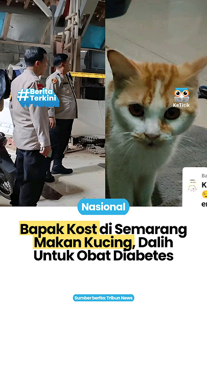 Bapak Kost Makan Kucing di Semarang, Alasan Untuk Obat Diabetes #makankucing #kucingindonesia