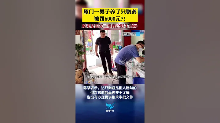 厦门一男子养了只鹦鹉被罚6000元？！原来是国家二级保护野生动物！ - 天天要闻