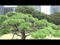 東京の緑 / 綠色東京 / Tokyo in Green / Tokio im Grünen