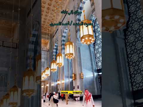 مولاي إني بابك بصوت المنشد الجميل أحمد العمري إنشاد انشر تؤجر انشرتؤجر متابعه لايك