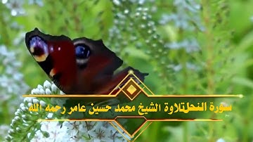 سورة النحل|| الشيخ محمد حسين عامر رحمه الله