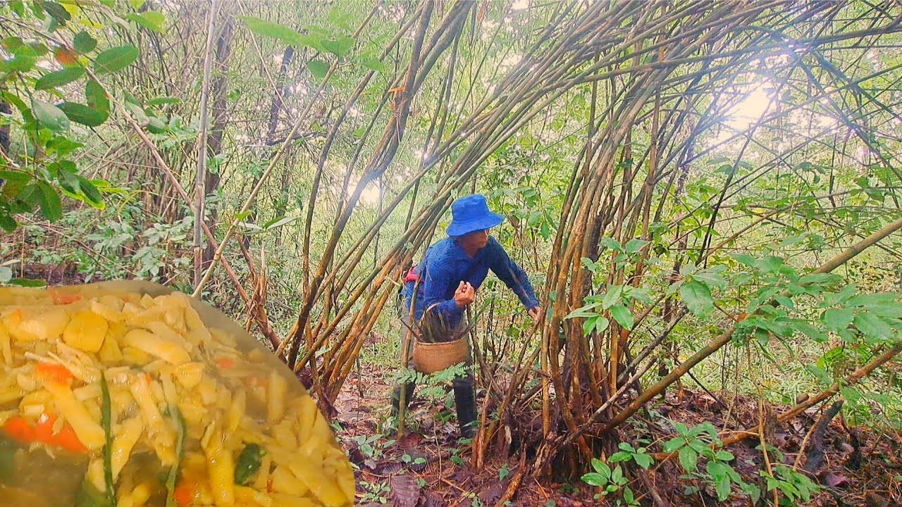 เข้าป่าหักหน่อโจด..มาแกงเที่ยง😋😋😋1ต.ค68